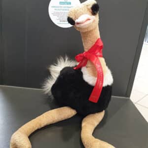 Eladó plüss strucc, 33 cm